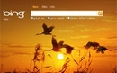 Bing uputio SEO stručnjake | Internet | rep.hr